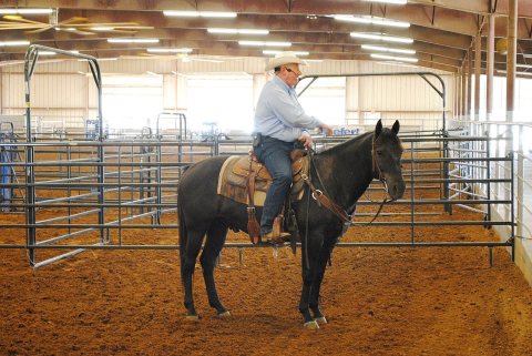 Ron Gill, Texas AgriLife Extension livestock specialist and effective stockmanship instructor, speaking to an audience …