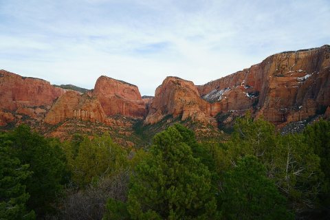 Sandstone cliffs over trees (Unsplash)