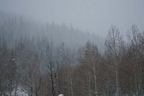 Scofield UT dyeclan.com - panoramio (1)