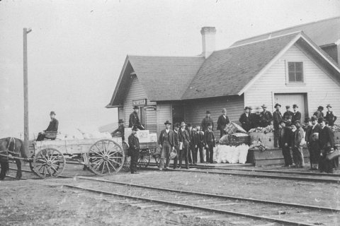 Wagons of bread in