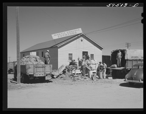 Untitled photo, possibly related to: Truckloads of potatoes in front of sorting, grading, and bagging sheds. From here …