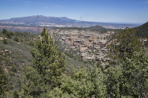 20170523-FS-Manti-La Sal NF-ET5A1339