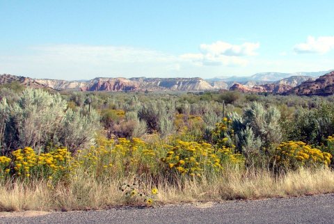 Kodachrome Basin S.P., Utah 9-2009