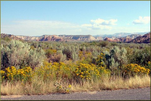 Cannonvile, UT Flowers9-09c