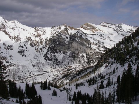 Alta