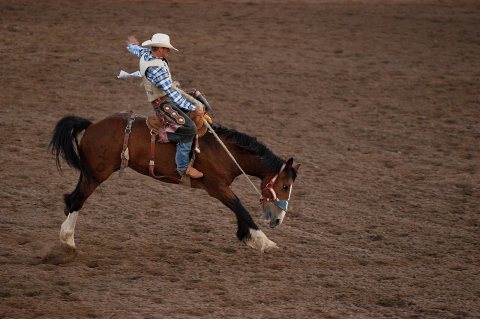 Saddle Bronc Riding - Flickr - a4gpa