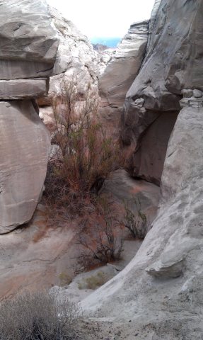 Big Water Slot Canyon - DyeClan.com - panoramio (2)