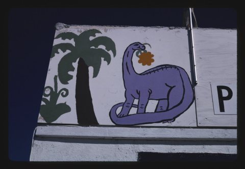 Dino sign, grocery laundromat