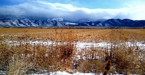 After the Snow Landscape