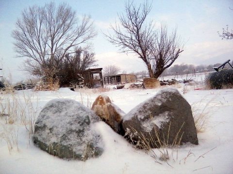 Snowy Farmyard