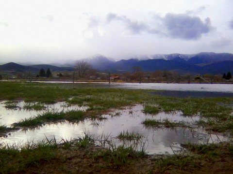 Rain Soaked Earth Landscape II