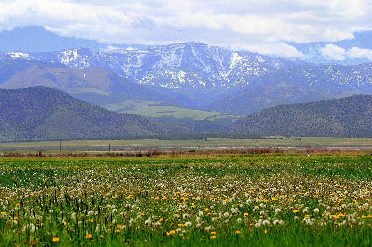 Landscape View, at
