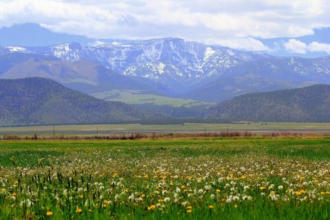 Landscape View, at