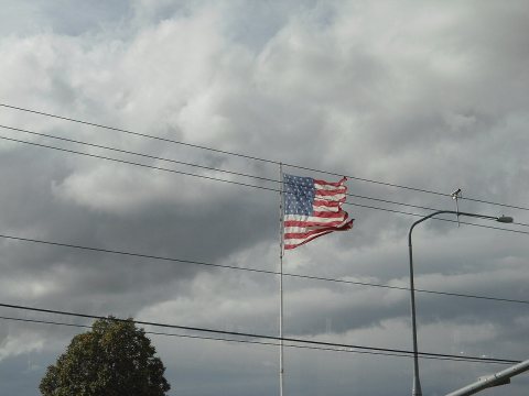 Flag - panoramio (3)