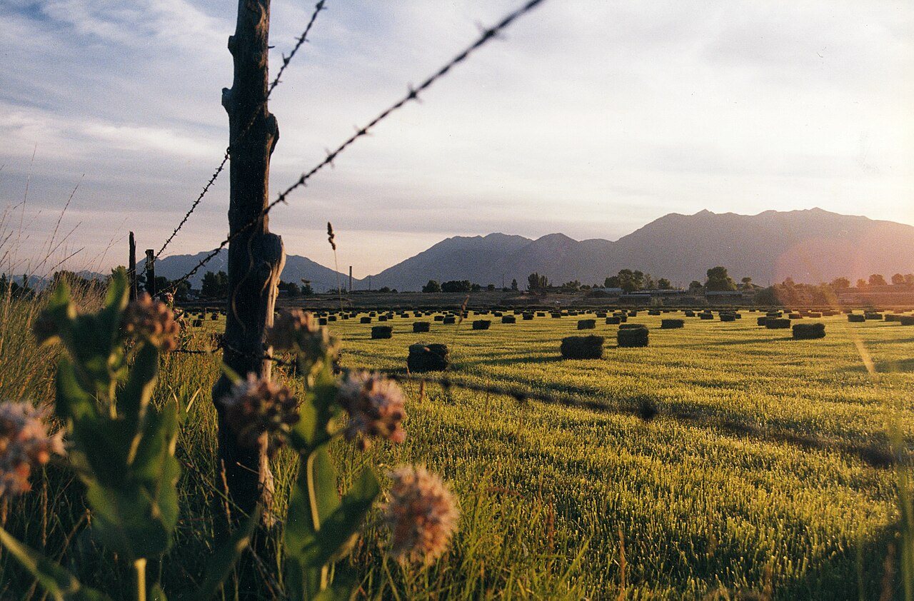 Baled hay in Utah Valley