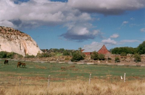 Scenic Byway 12 - Horses Grazing in
