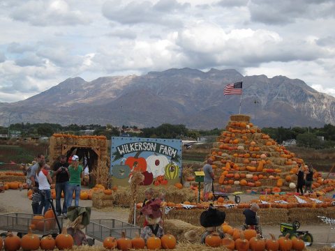 Wilkerson Farm in