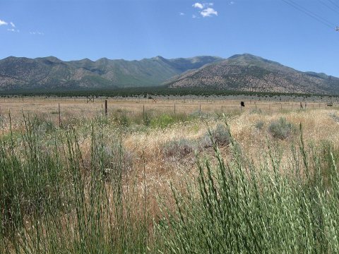 Looking Northwest Toward South End of Oquirrh Mountain Range