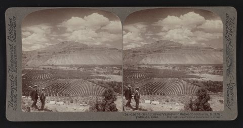 Grand River Valley and its peach orchards, N.N.W
