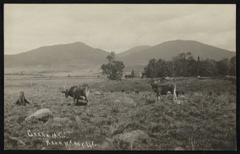 Green Mts. near N. Troy, VT