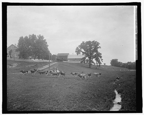 H.C. Rogers