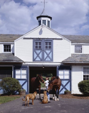 Horse Country in