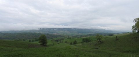 Bluegrass Valley