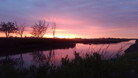 Sunrise in the marsh