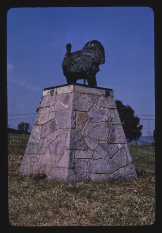 Turkey statue