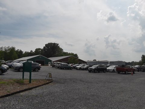 Green Valley Book Fair - rows of cars