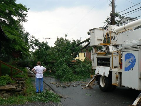 Surveying fallen trees and power lines