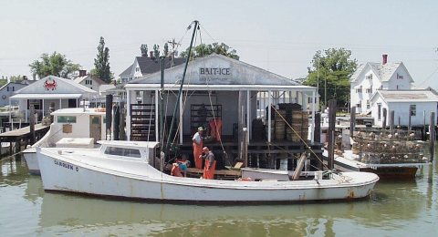 2000-06-10 02 Watermen unloading lobsters on Tangier Island, Virginia USA