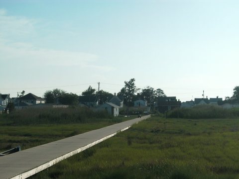 Tangier 135