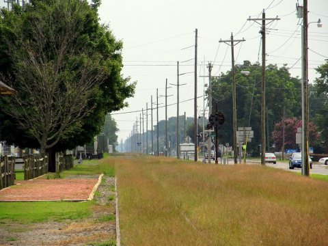 Railroad right of way, Parksley, VA, August 2014