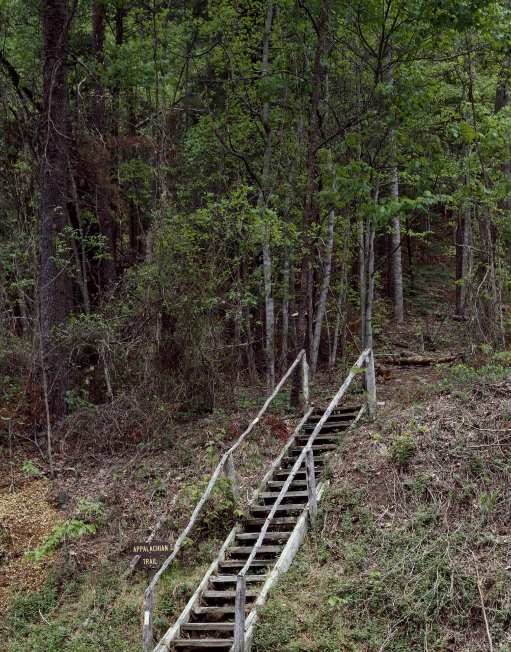 Out of Damascus, the Appalachian Trail heads into the mountains and Feathercamp Ridge