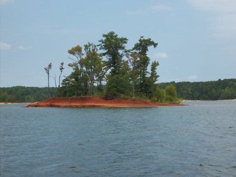 Lake Kerr Gilligan's Island 36.595029,-78.390841