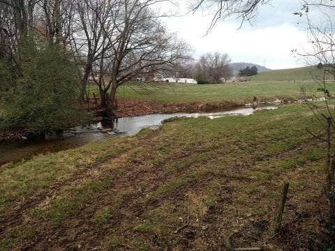 Cooks Creek