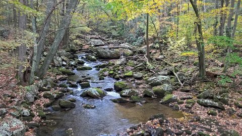 Little Stony Creek in Cascades Conservation area, 15 oct 17