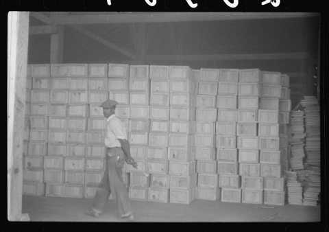 Inside the Webster Canning Company