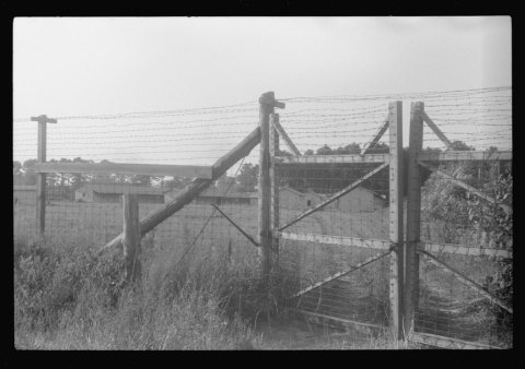 Barbed wire-surrounded barracks for Florida Negro migrants working at Webster Canning Company