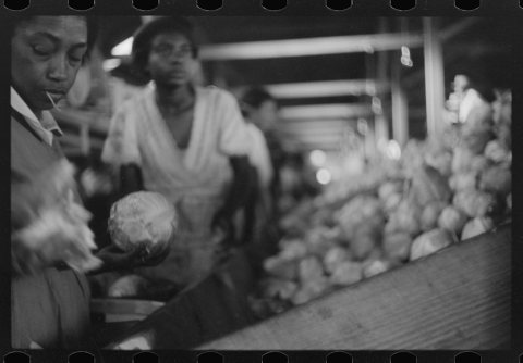 Untitled photo, possibly related to: Migratory agricultural workers grading cabbages at the Webster Canning Company