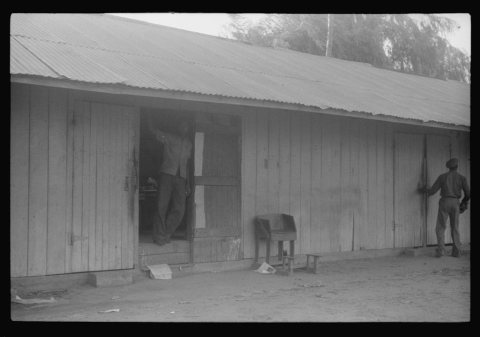 Living quarters for migratory agricultural workers at Webster Canning Company