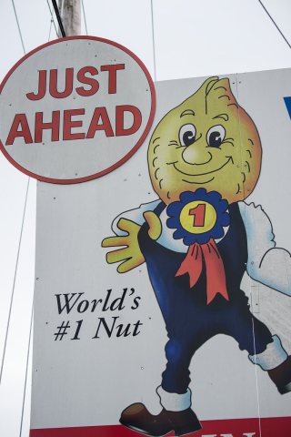 Farmers Welcome Trade Opportunities - Peanut Grower Rogers Farms (20151218-OC-LSC-0022)