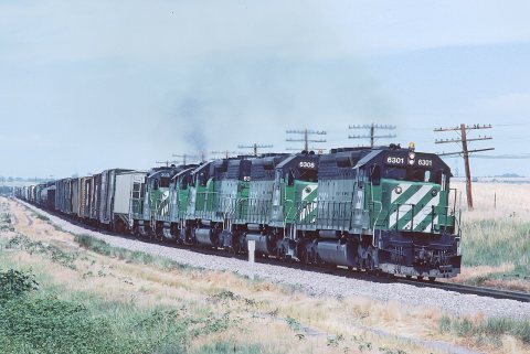 BN 6301, 6308, 6311, 2045, and 2036 (SD40, SD40, SD40, GP20, and GP20) near Wiggins, CO in July 1981