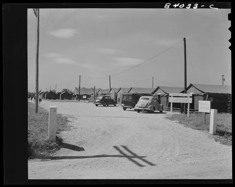 Untitled photo, possibly related to: Timberville, Virginia. Blue Ridge FSA (Farm Security Administration) farm labor ca…