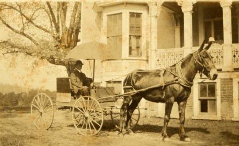 Dry goods salesman Chatham Virginia 1918