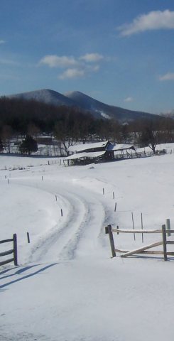 Old barn 3-09 snow