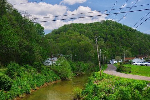 Cedar-Bluff-stream-va