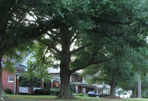 Fifth Avenue Historic Area