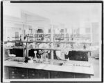 Students working in laboratory
